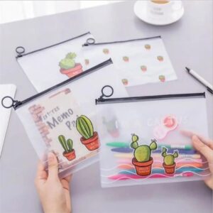 Cute Transparent cactus 🌵 Pouch (1 Pc )