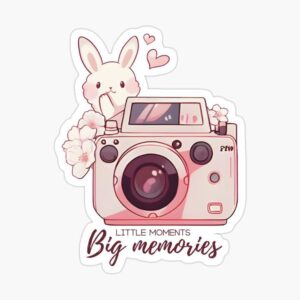 Big Memories Sticker